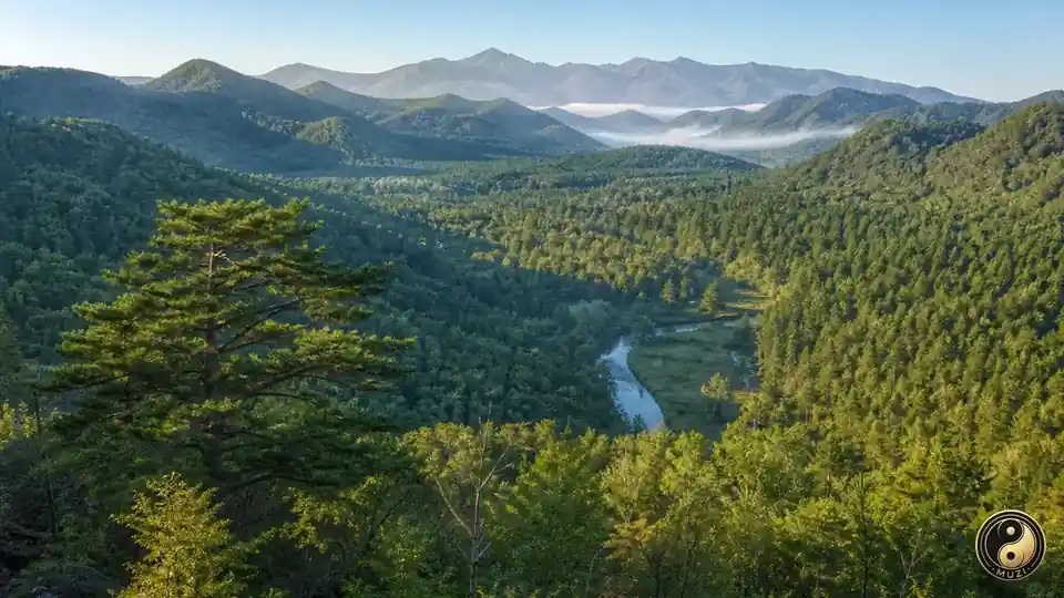 吉林·長白山林區·寫實全景