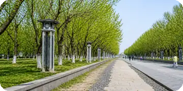 中轴线南段御道遗存