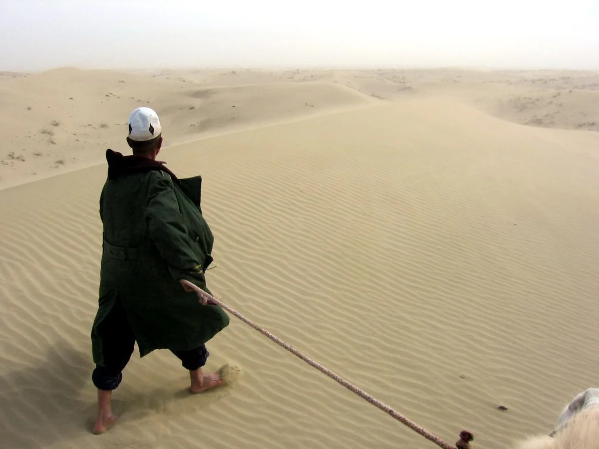 Tarim Basin 新疆