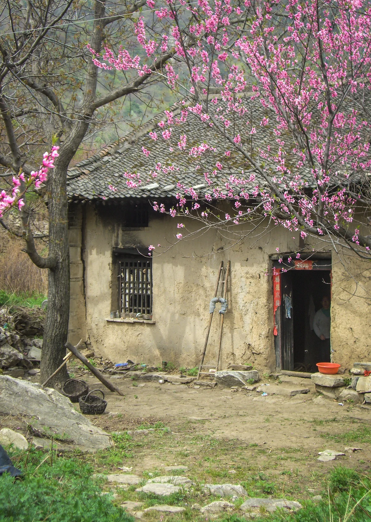 秦嶺南麓 陝西