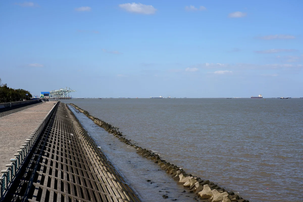 長江口溼地 上海