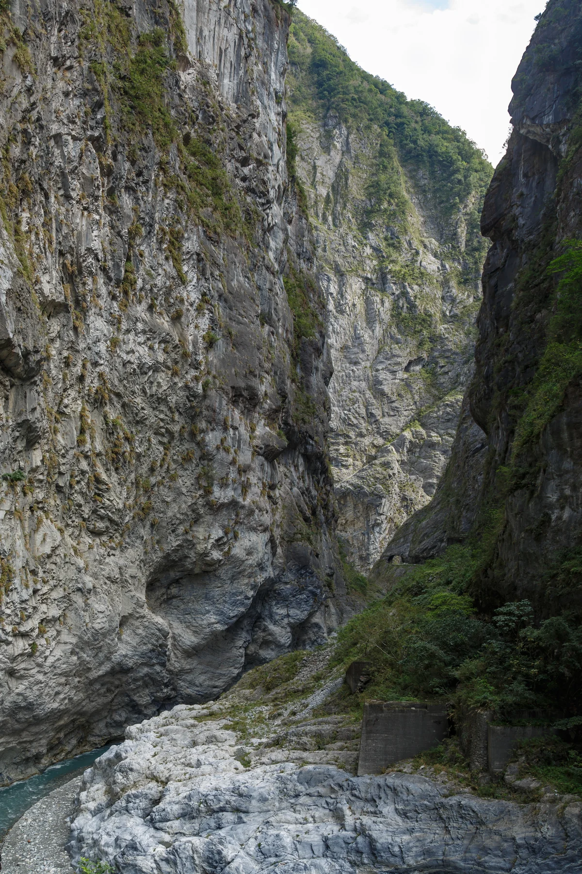 臺灣島 臺灣