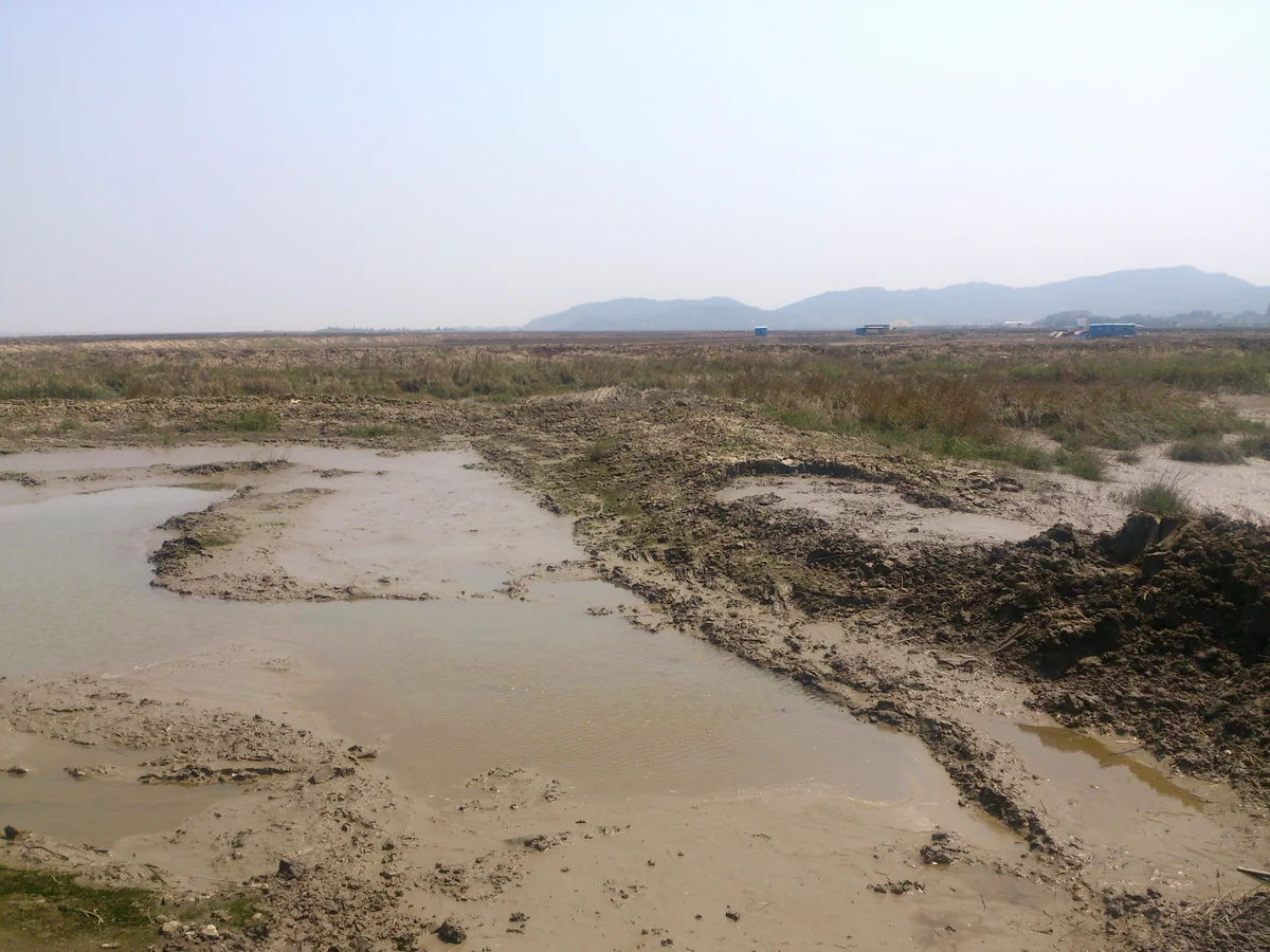 Min River Estuary 福建