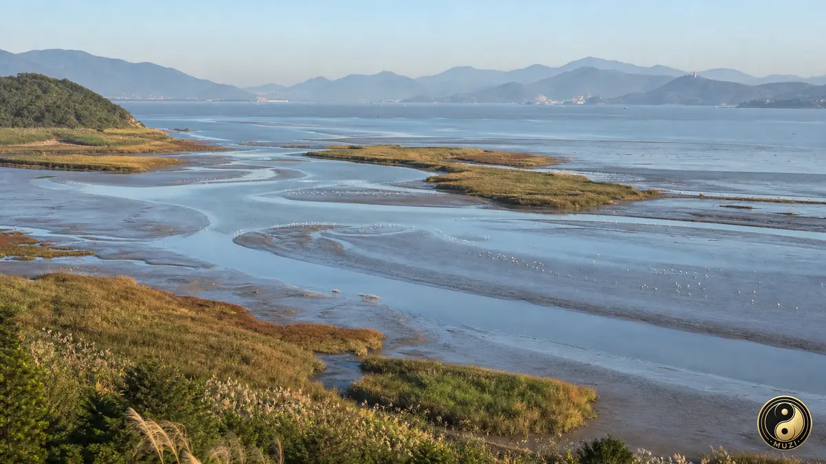 福建·闽江入海口·写实全景