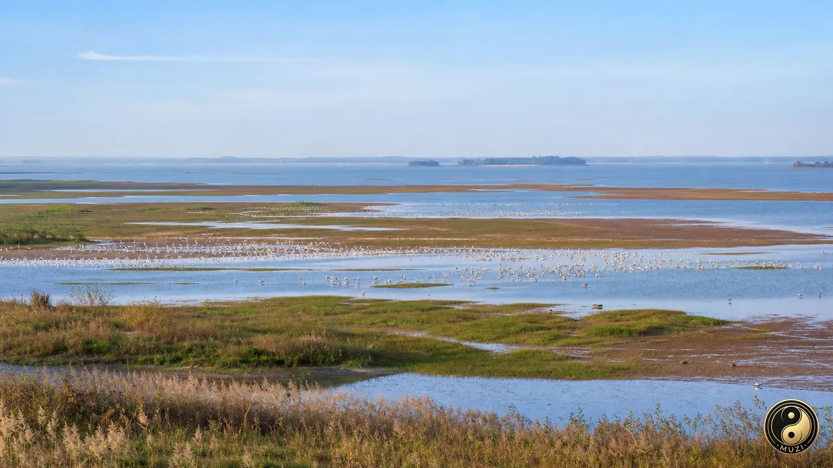 Jiangxi — Poyang Lake — Photoreal panorama