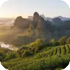 Wuyi Mountain Tea Region — Dawn Panorama
